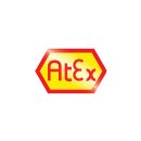 ATEX-Fasspumpe Elektrisch Set
