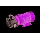 NIROSTAR/E 2000-E/PF, 900 min-1, 400 V; Impellerpumpe mit...