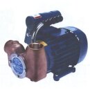 Impellerpumpe Universal  230 Volt 80 Liter / Minute  Baugröße 080