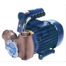 Impellerpumpe Universal  230 Volt 80 Liter / Minute  Baugröße 080