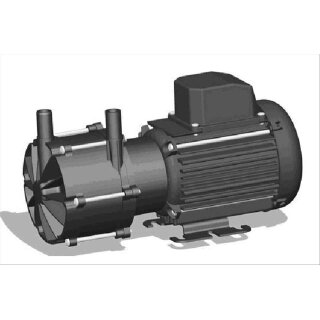 Totton NEMP 20/18 Seitenkanalpumpe magnetgekoppelt