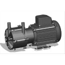 Totton NEMP 20/18 Seitenkanalpumpe magnetgekoppelt