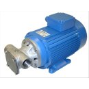 Edelstahl-Impellerpumpe 80 Liter / Minute