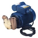 Impellerpumpe Universal  230 Volt 20 Liter / Minute