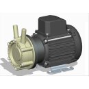Totton HPR 10/15  Magenetgekoppelte  Kreisel-Pumpe    bis...